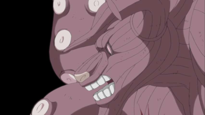 EP 326