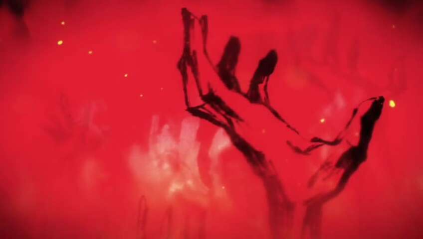 EP 1075