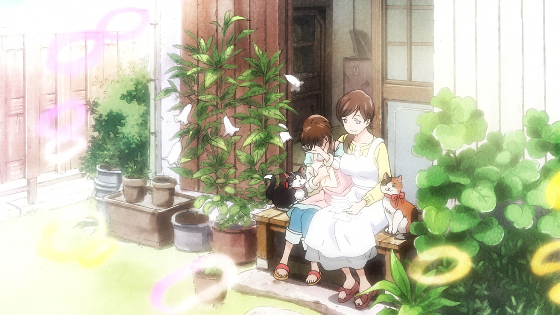 EP 13