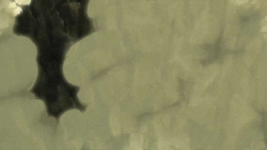 EP 435