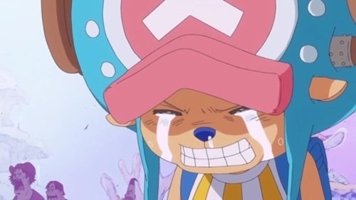 EP 537