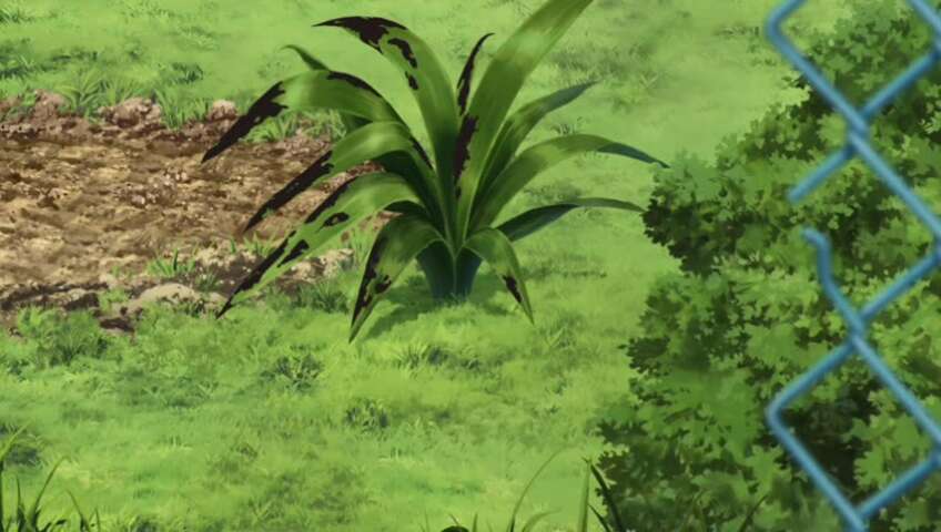 EP 1104