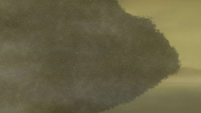 EP 110