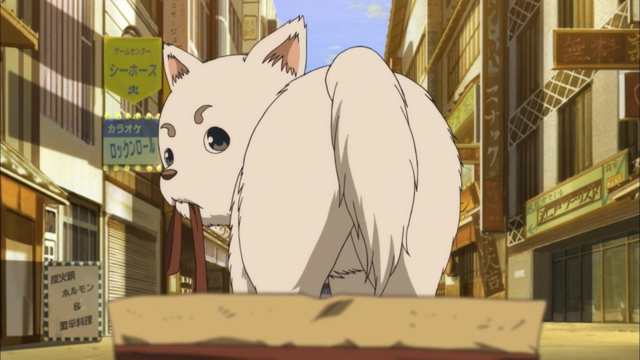 EP 13