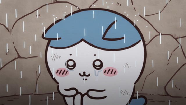 EP 31