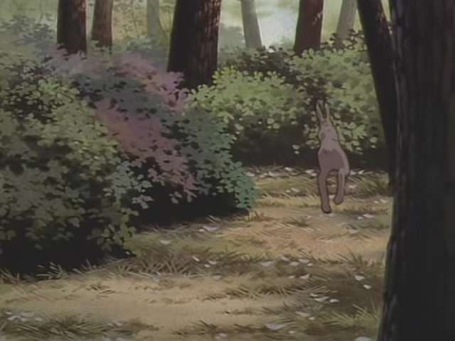 EP 212