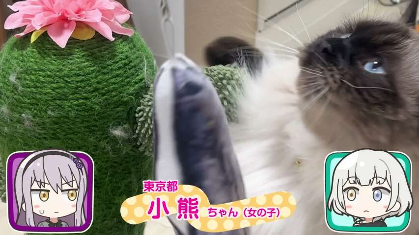 EP 27