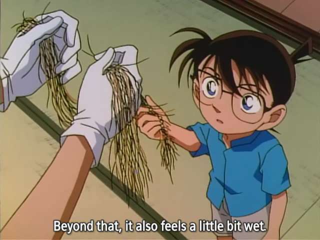 EP 243