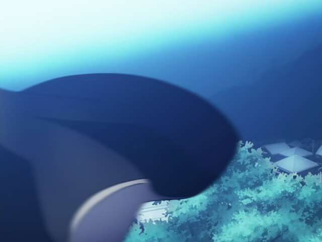 EP 116
